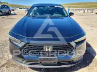 2025 Honda Accord photo
