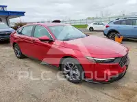 2025 Honda Accord photo