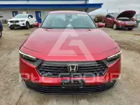 2025 Honda Accord photo