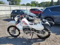 2025 Honda  photo