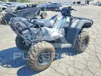 2025 Honda TRX фото