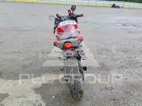 2025 Honda CBR photo