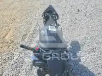 2025 Honda CBR photo