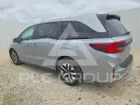 2025 Honda ODYSSEY photo