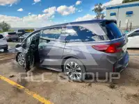 2025 Honda ODYSSEY фото