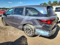 2025 Honda ODYSSEY фото