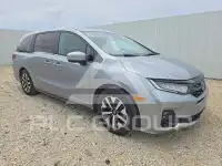 2025 Honda ODYSSEY photo
