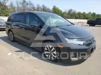 2025 Honda ODYSSEY photo