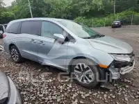 2025 Honda ODYSSEY фото