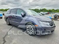 2025 Honda ODYSSEY фото