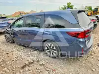 2025 Honda ODYSSEY фото