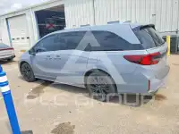 2025 Honda ODYSSEY photo