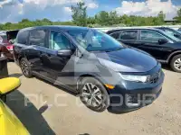2025 Honda ODYSSEY фото