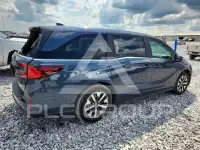 2025 Honda ODYSSEY фото