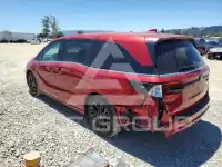2025 Honda ODYSSEY фото