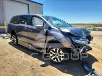 2025 Honda ODYSSEY фото