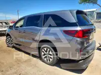 2025 Honda ODYSSEY фото