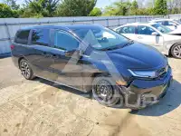 2025 Honda ODYSSEY фото