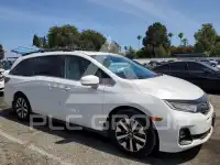 2025 Honda ODYSSEY photo