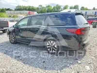 2025 Honda ODYSSEY фото