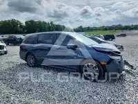 2025 Honda ODYSSEY фото
