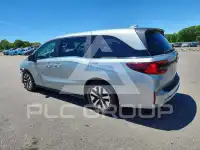 2025 Honda ODYSSEY фото