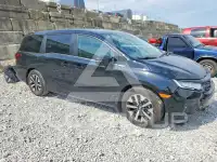 2025 Honda ODYSSEY фото