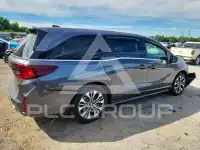2025 Honda ODYSSEY фото