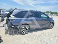 2025 Honda ODYSSEY фото