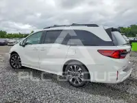 2025 Honda ODYSSEY фото