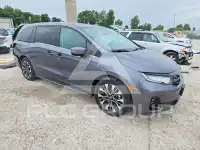 2025 Honda ODYSSEY фото