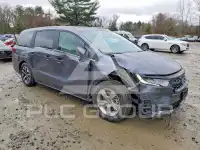 2025 Honda ODYSSEY фото