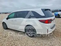 2025 Honda ODYSSEY фото