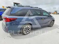 2025 Honda ODYSSEY фото