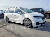 2025 Honda ODYSSEY фото
