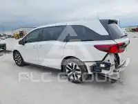 2025 Honda ODYSSEY фото