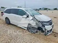2025 Honda ODYSSEY фото