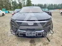 2025 Cadillac Optiq photo