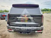 2025 Cadillac ESCALADE фото