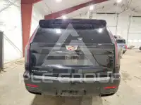 2025 Cadillac ESCALADE фото