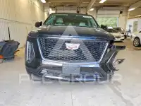 2025 Cadillac ESCALADE фото