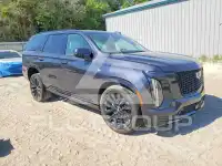 2025 Cadillac ESCALADE фото