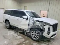 2025 Cadillac ESCALADE фото