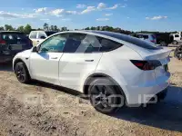 2025 Tesla Model Y фото