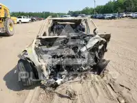 2025 Tesla Model Y фото