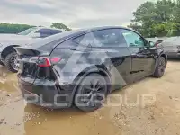 2025 Tesla Model Y photo