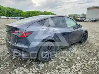 2025 Tesla Model Y photo