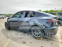 2025 Tesla Model Y photo
