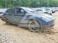 2025 Tesla Model Y photo