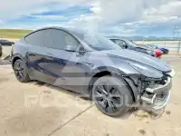 2025 Tesla Model Y photo